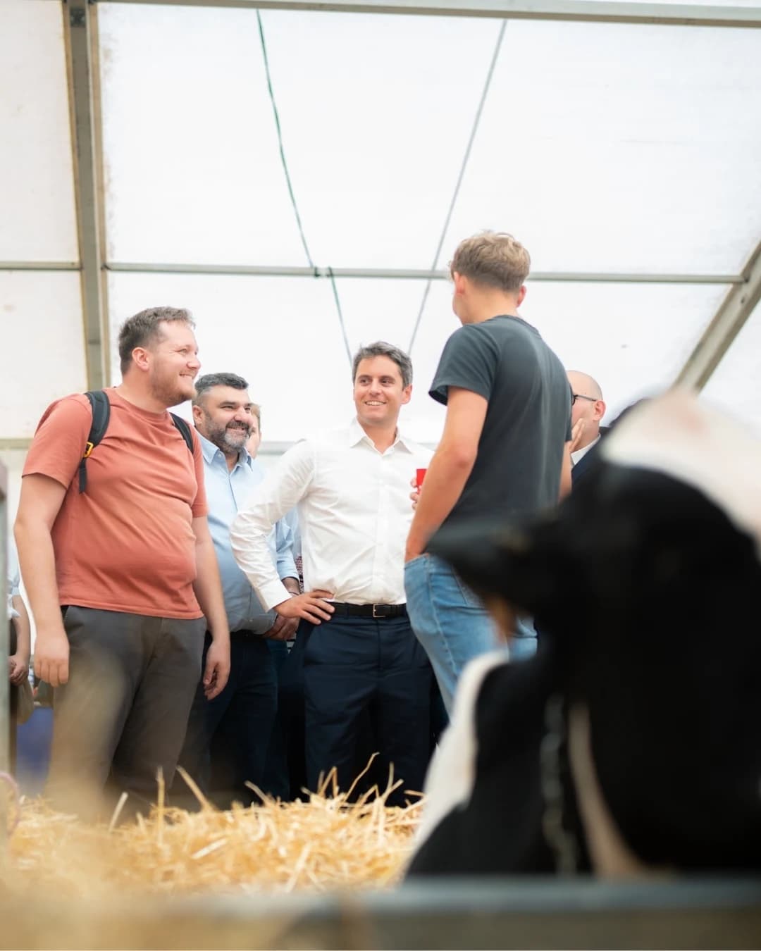 Gabriel Attal face à des vaches et entourés de personnes 
